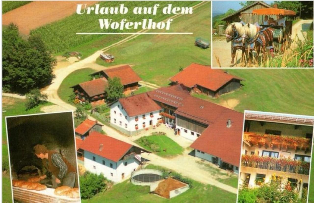Woferlhof, Ferienhof Boxhorn Bobrach Ngoại thất bức ảnh