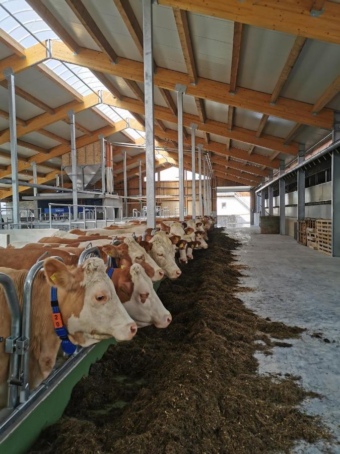 Woferlhof, Ferienhof Boxhorn Bobrach Ngoại thất bức ảnh